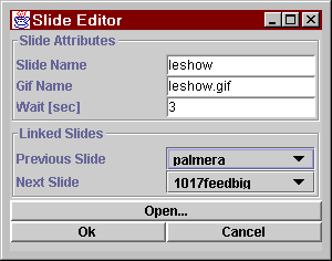 Screen Shot of Slide Editor